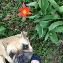 Lucy