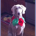 Oliver