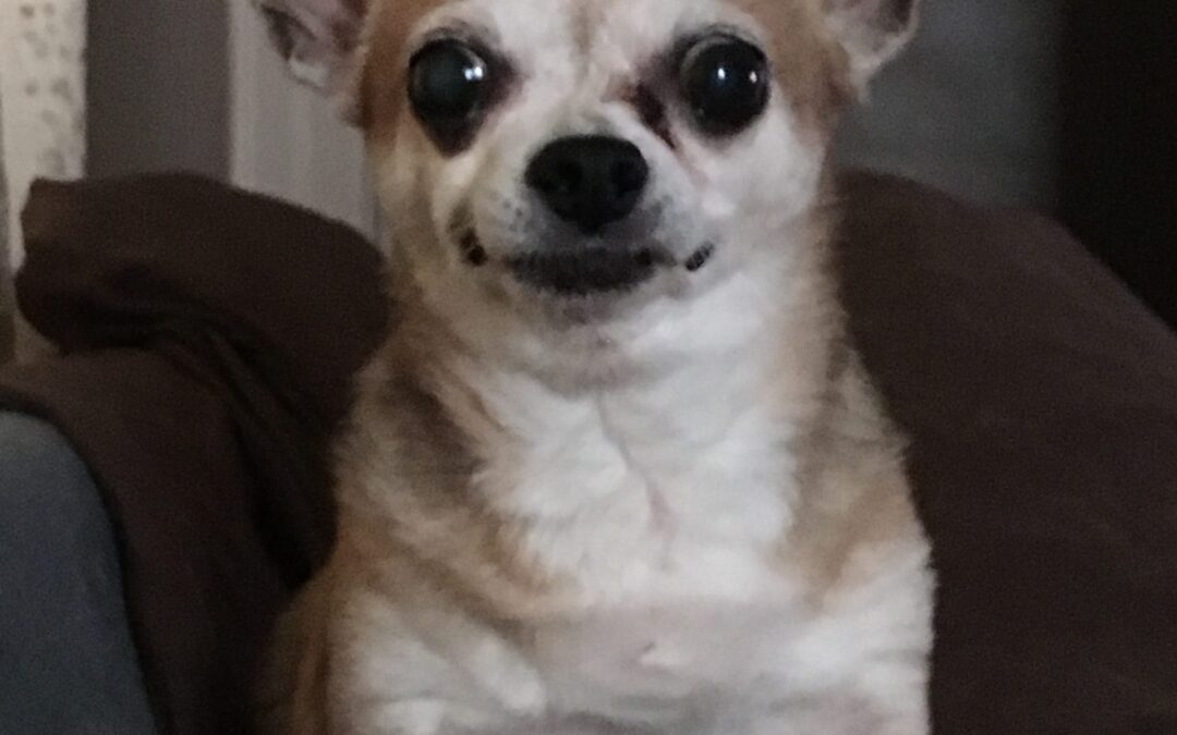 Maddie