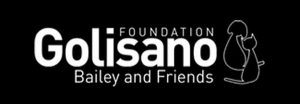 Golisano Foundation Bailey and Friends logo